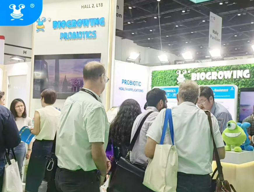 截图-20241203164122 截图-20241203164122